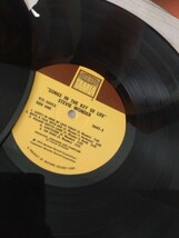 US盤LP◆：STEVIE WONDER Songs In The Key Of Life スティービー・ワンダー：2枚組+7インチの３枚_画像7