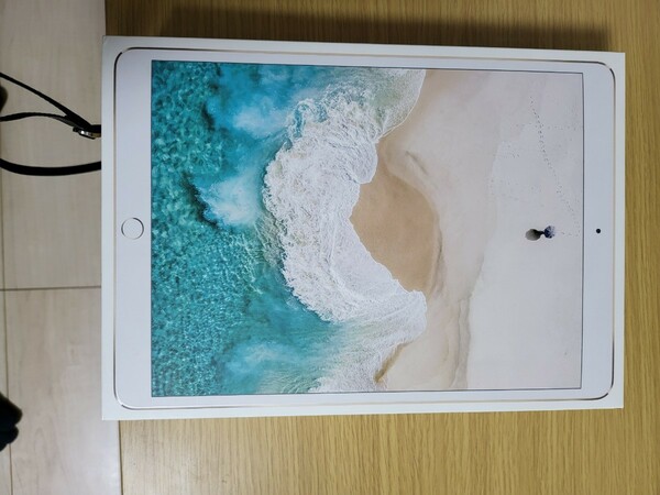 iPad Pro 10.5インチ ローズゴールド Wi-Fi + Cellular 512GB ピンク NPMH2J/A A1709 本体のみ 動作品