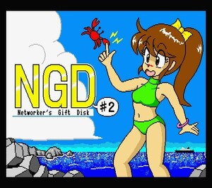 【 NGD#2：Networkers Gift Disk #2 】簡易ディスクマガジン ■3.52DD 3枚組+作業用1枚（TAKERU / タケル）MSX2/2+/turboR