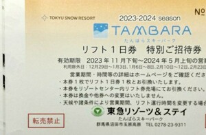 たんばらスキーパーク◎リフト1日券2枚◎送料無料◎7～8日発送予定