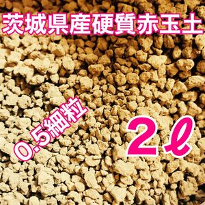 茨城県産硬質赤玉土 細粒 2.0リットル 盆栽 多肉植物 ビオトープ めだか