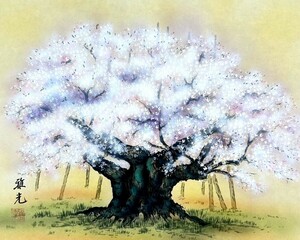 【模写】永縄雅光「桜」掛軸 絹本 彩色 複製 印刷 工芸 日本画 日本美術 桜 さくら ｃ011123
