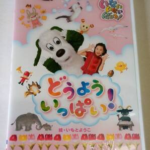 ★☆【新品】 NHK DVD いないいないばあっ!どうよう いっぱい! Eテレ ☆★