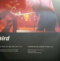 【12inch, Single】Primal Scream / Jailbird (極美品) プライマルスクリーム_画像2