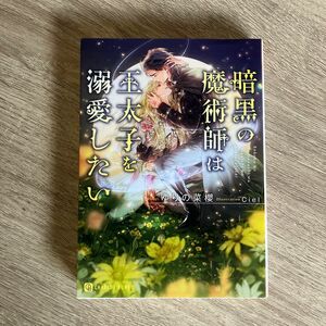 暗黒の魔術師は王太子を溺愛したい／ゆりの菜櫻／BL小説