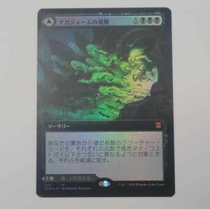 アガディームの覚醒　拡張foil 　開封後、即二重スリーブ保管　マジックザギャザリング mtg MTG フルアート　日本語