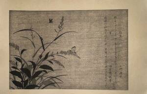 【真作】喜多川歌麿「画本虫 松虫 蛍」本物 浮世絵 大判 錦絵 木版画