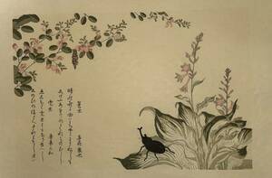 【真作】喜多川歌麿「画本虫 かぶとむし」本物 浮世絵 大判 錦絵 木版画