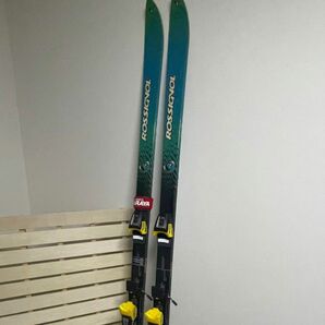 ロシニョール　183cm スキー板