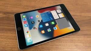 iPad mini4 MK9N2J/A Apple Wi-Fiモデル タブレット 【5264】