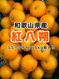 和歌山県産　紅八朔　小玉　5kg箱いっぱい!! そのままでもお菓子作りにも♪