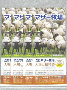 ◆未使用 マザー牧場 入場ご招待券 有効期限 2024年1月31日(水)まで 入場券 4枚セット 4名様 チケット◆