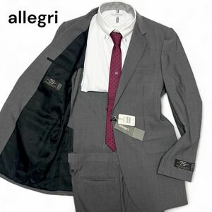 未使用 タグ付き◎48サイズ!! アレグリ【最高級チェルッティ生地使用】allegri セットアップ ウール100% グレー 大きいサイズ◎メンズ