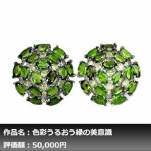 【1円新品】イケゾエガレ｜8.00ct 天然ペリドット&クロムディオプサイト K14WG仕上ピアス｜作家モノ｜本物保証｜NGL鑑別対応_画像1