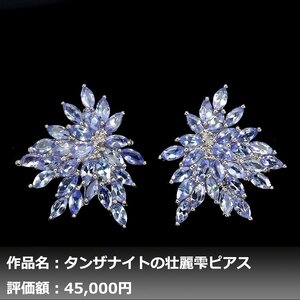 【1円新品】イケゾエガレ｜5.00ct 天然タンザナイト K14WG仕上ピアス｜作家モノ｜本物保証｜NGL鑑別対応