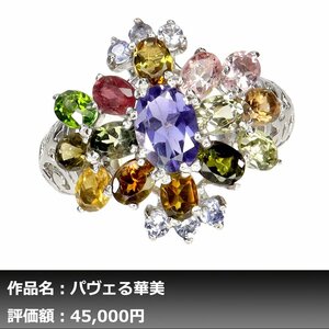 【1円新品】イケゾエガレ｜5.00ct 天然イオライト&タンザナイト&トルマリン K14WG仕上リング 17号｜作家モノ｜本物保証｜NGL鑑別対応