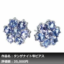 【1円新品】イケゾエガレ｜3.50ct 天然タンザナイト K14WG仕上ピアス｜作家モノ｜本物保証｜NGL鑑別対応_画像1