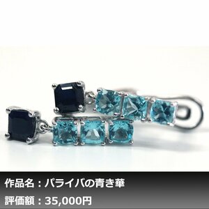 【1円新品】イケゾエガレ｜3.00ct 超IF等級 天然アパタイト&サファイア K14WG仕上ピアス｜作家モノ｜本物保証｜NGL鑑別対応