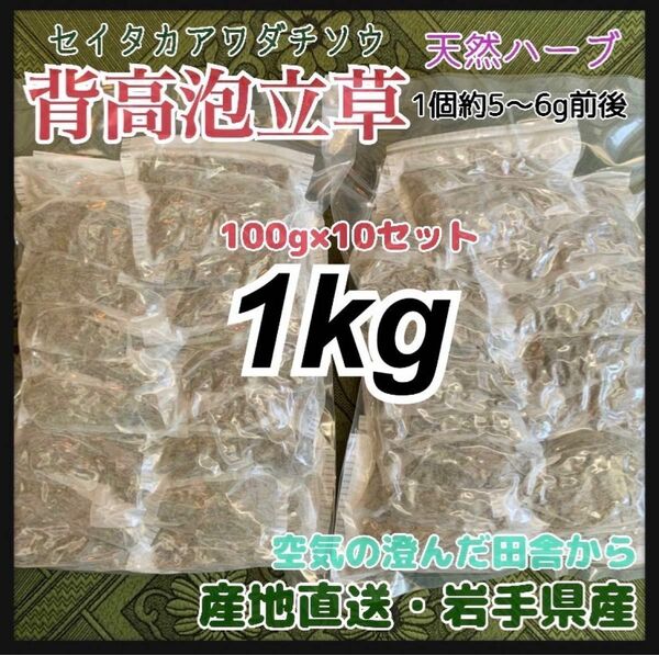 【天然ハーブ入浴剤】背高泡立草　セイタカアワダチソウ　大容量1kg 沢山入ります　天然素材　個包装　大容量　