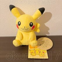 ポケモンセンター My PIKACHU(マイ ピカチュウ) ぬいぐるみ 中サイズ・通常顔・通常ポーズ・通常ギザ・メスのすがた ノーマル_画像1