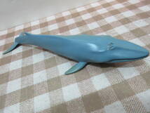 カロラータ　マリンママルボックス　海洋性哺乳類　シロナガスクジラ　フィギュア　中古品_画像4
