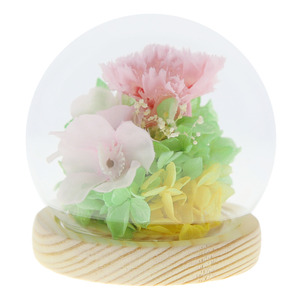 * four season / spring ... preserved flower glass dome mail order four season calendar ... flower .. flower . flower dome type dome preserve long-lasting decoration .