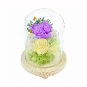 * C25560. wistaria . preserved flower glass dome mail order flower .. not . flower family Buddhist altar ... O-Bon ... flower .. flower vase attaching flower gift p