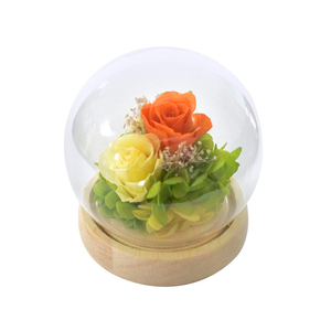 * B11835. orange preserved flower glass dome mail order flower arrangement stylish Mother's Day birthday memory day gift present 