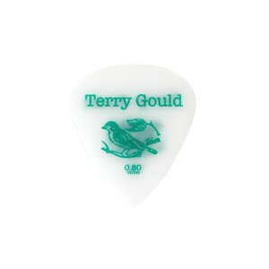 ギターピック 10枚 セット ピックボーイ 0.80mm GP-TG-TS/08 Terry Gould Sand Grip PICKBOY