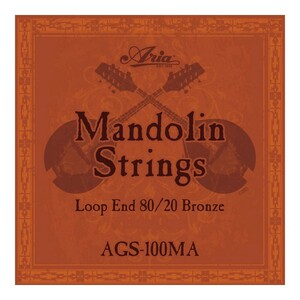 ARIA AGS-100MA Mandolin マンドリン弦