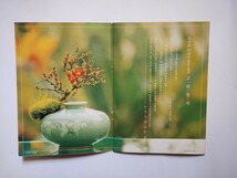 韓国青磁　貴重な蓋付き盆栽鉢　ソウルで窯元買い　_画像2