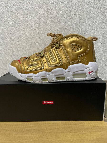 supreme NIKE AIR MAX MORE uptempo エアモアアップテンポ