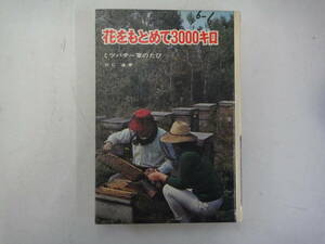 てE-２９　人類の記録シリーズ　花をもとめて３０００キロ　ミツバチ一家のたび　羽仁進著　S４９