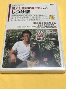 ★柴犬のしつけDVD★関係のきずき方★森田誠、これから飼う人必見★ストレス、デリケート気質対策、生後3ヶ月女の子