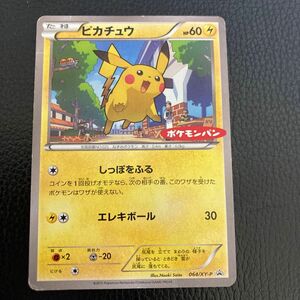 ポケモンカードピカチュウプロモ ポケモンパン