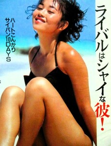 ♪浅香唯切り抜き76枚+ポスター！南野陽子さん中村由真大西結花工藤静香中山美穂水谷麻里中山忍渡辺美奈代生稲晃子斉藤満喜子スケバン刑事