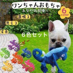 犬　おもちゃ　犬用おもちゃ 犬用品　ペット用品 ペット用おもちゃ 猫用おもちゃ