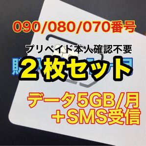 2枚セット プリペイドSIMカード データ通信5GB/月 SMS受信 090/080/070