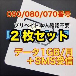 2枚セット プリペイドSIMカード データ通信1GB/月 SMS受信 090/080/070