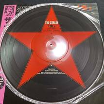 【美品帯付】 ザ・スターリン 「虫」 THE STALIN CMC-2512 ピクチャー盤 遠藤ミチロウ レコード LP_画像4