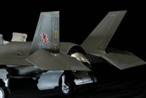 タミヤ 1/48 F-35B 短距離離陸形態　いずも発着艦試験　VMFA-242 バッツ　完成品_画像6