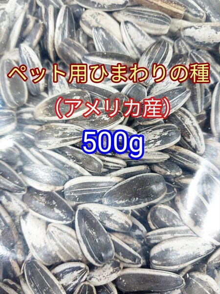 ひまわりの種500g 小動物 インコ ハムスター　アメリカ産