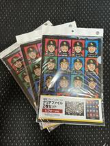 プロ野球 ソフトバンク　クリアファイル　2枚セット　3_画像1