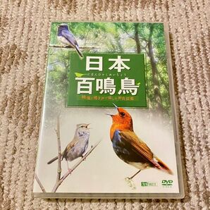 日本百鳴鳥DVD〈美品〉