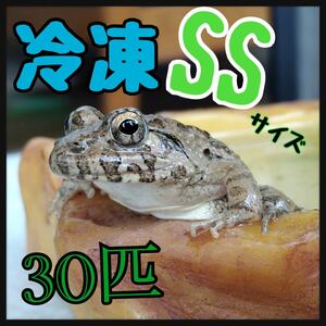 冷凍餌 SSサイズ 30匹 急速冷凍 餌用 カエル エサ用 ヌマガエル かえる 蛙 トカゲ ヘビ 蛇 ピラニア アロワナ マウス うずら ひよこ ラット