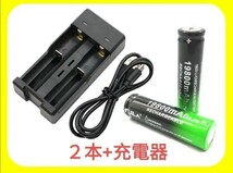 リチウムイオン 充電池 2本+急速充電器_画像1