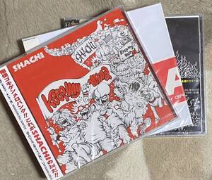 ◆未開封 SHACHI 『keep my mind』『A Baited Cat May Grow As Fierce As A Lion』『Wolfist』　CD