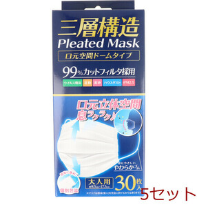 マスク 三層構造 プリーツマスク 口元空間ドームタイプ 個別包装 大人用 30枚入 5セット