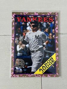 アーロン・ジャッジ Aaron Judge 2023 Topps Baseball Japan Edition 1988 Cherry Tree Variation 25枚限定