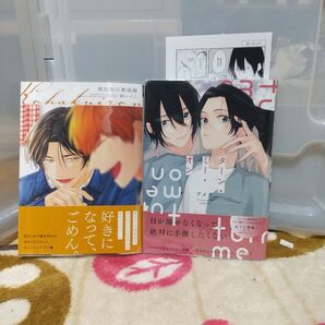 ①BL アメダ 綿レイニ